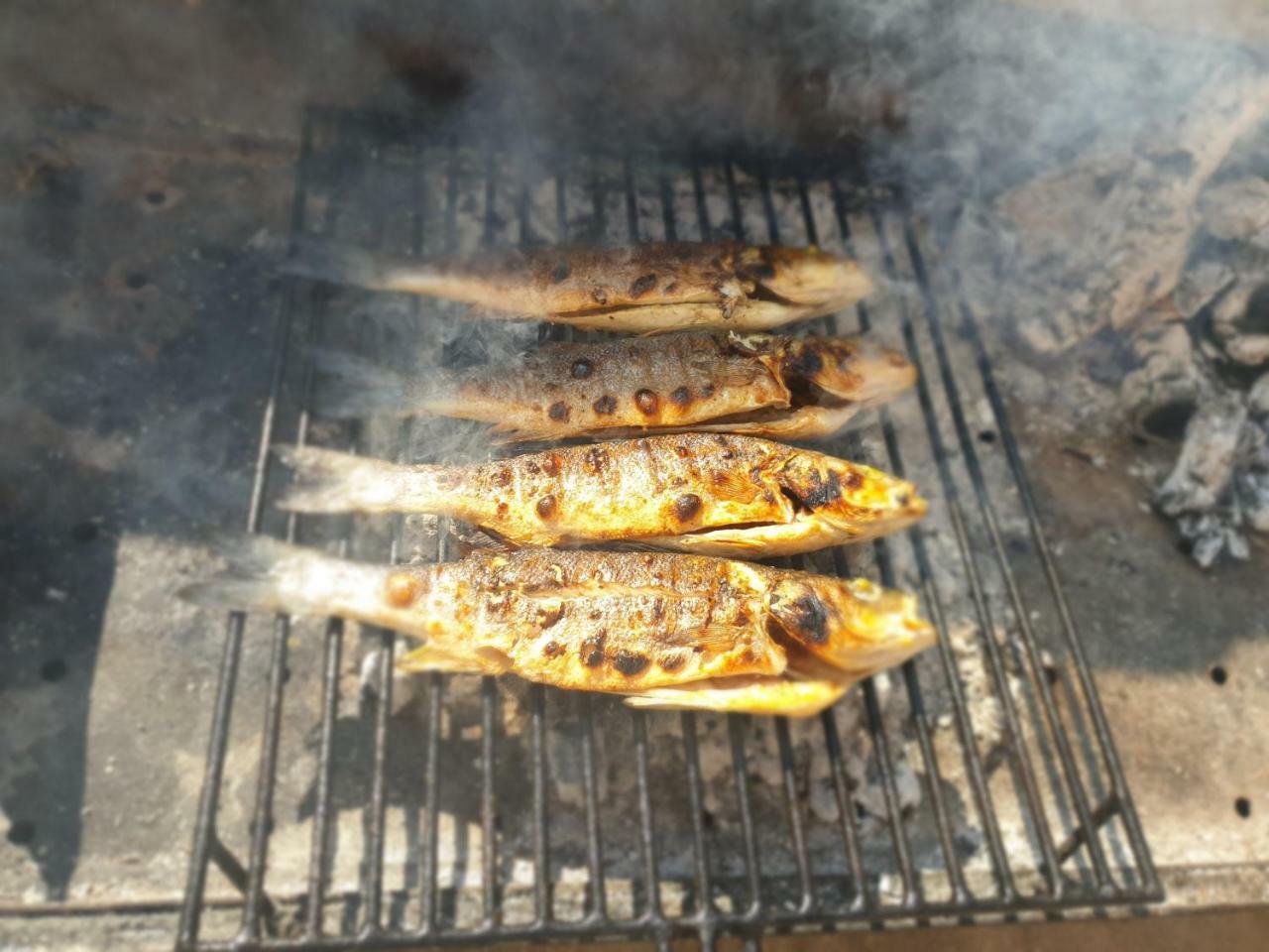 Pitve Apartman Biserka מראה חיצוני תמונה